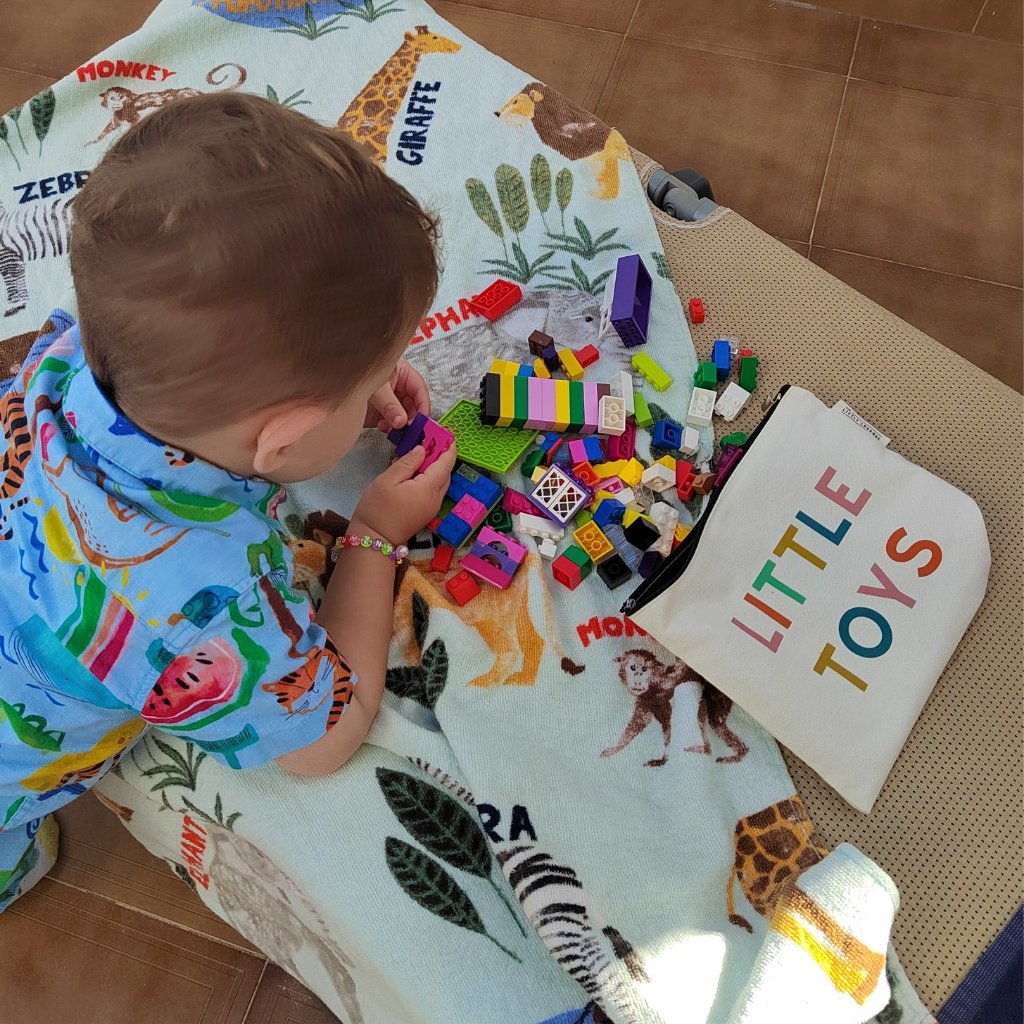 Toy Storage